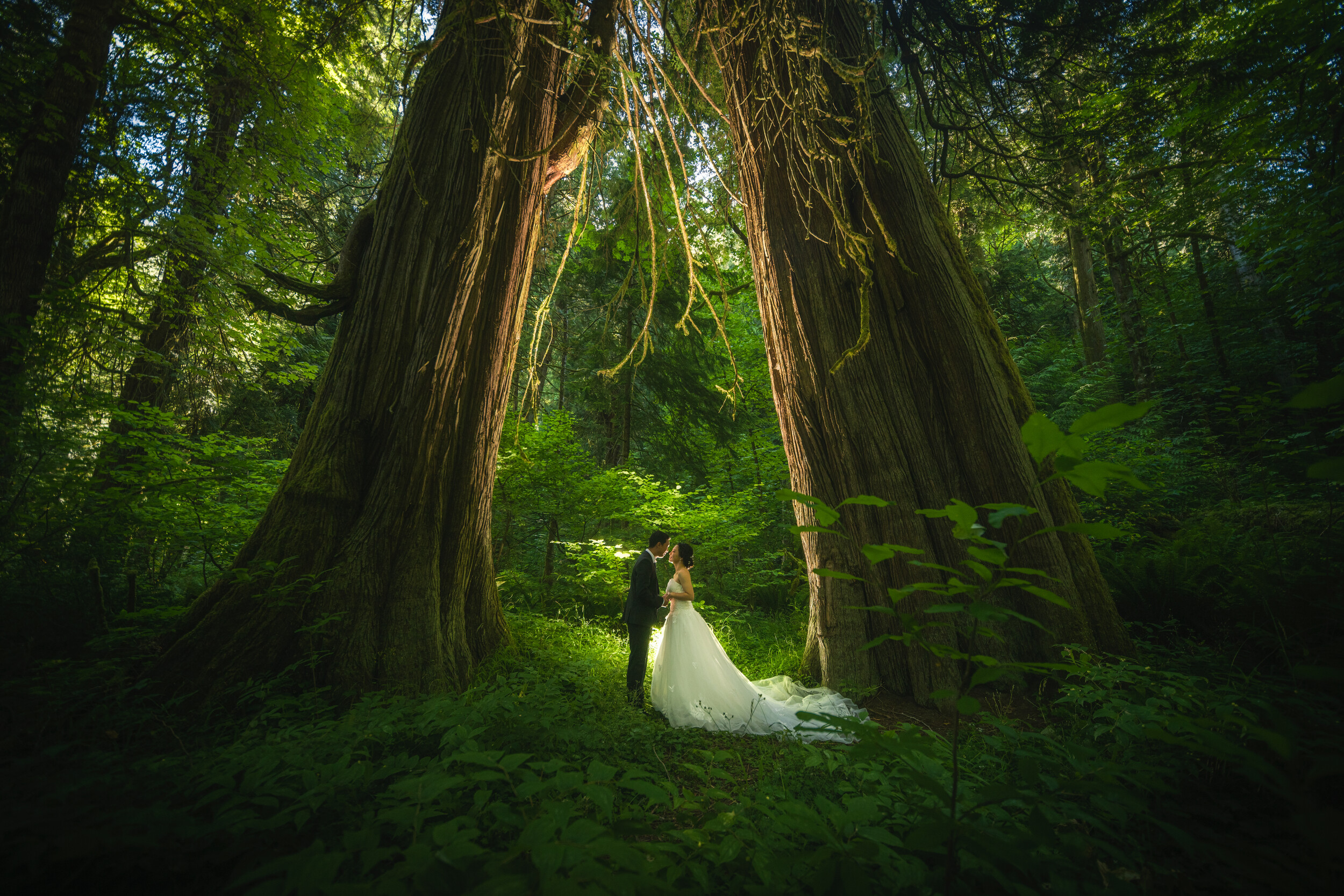 Wedding photography — Fairmont Empress, Victoria