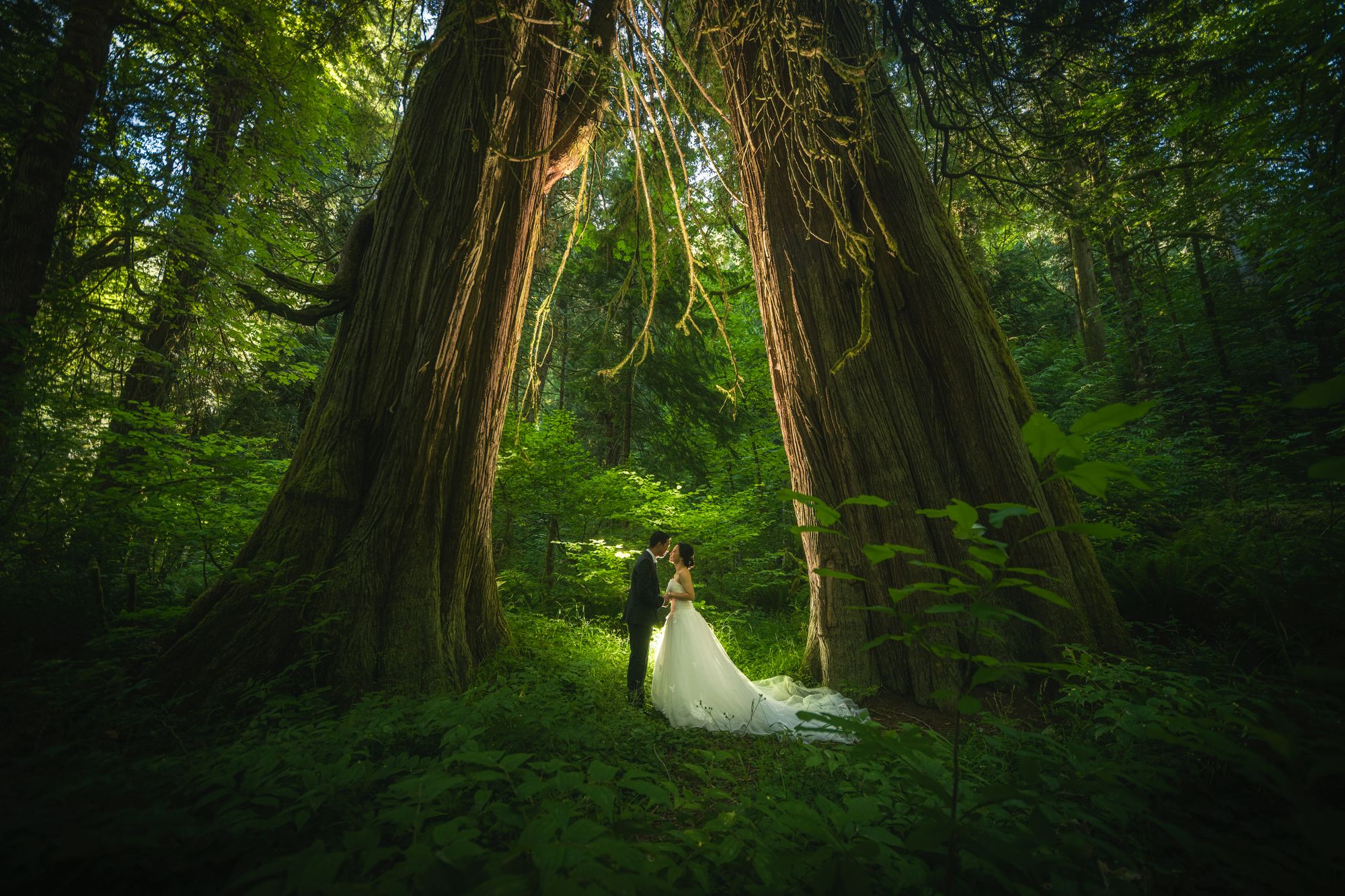 Fairmont Empress wedding, Victoria